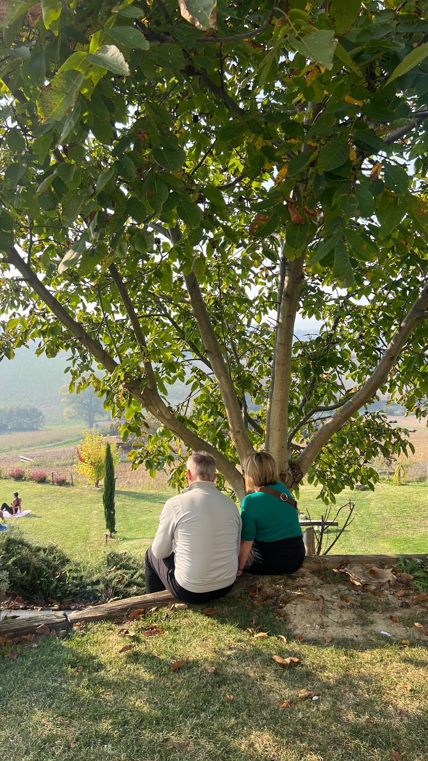 Evento pilota MonFarm Experience – 11/12 Ottobre 2025