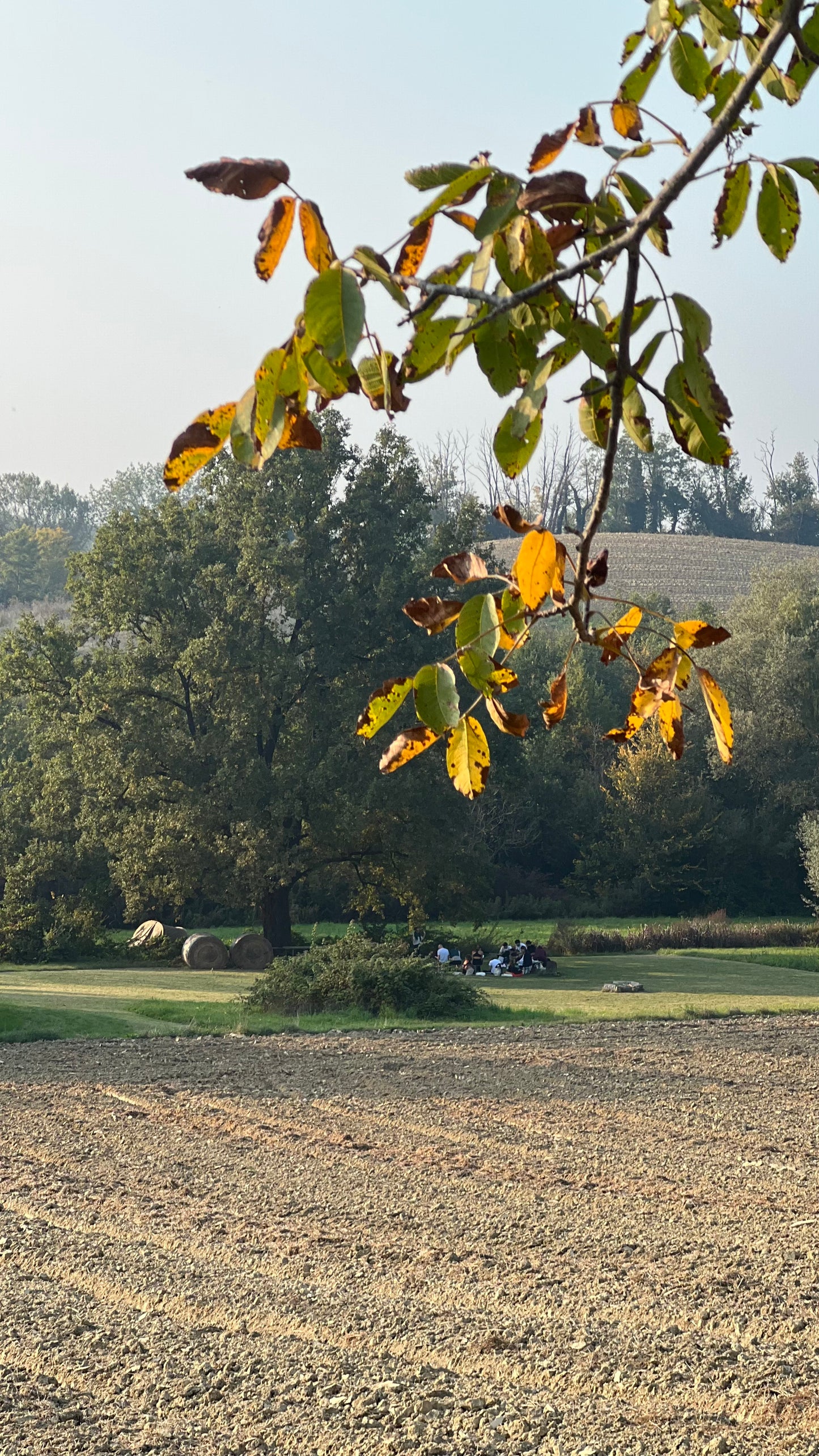 Evento pilota MonFarm Experience – 11/12 Ottobre 2025