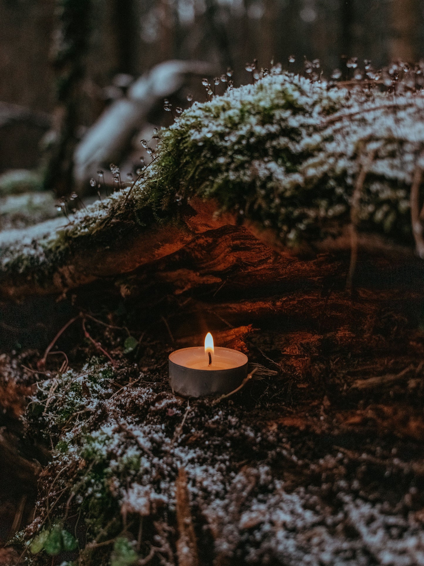 Rituale d’Inverno · La luce che rinasce – 20 Dicembre 2025