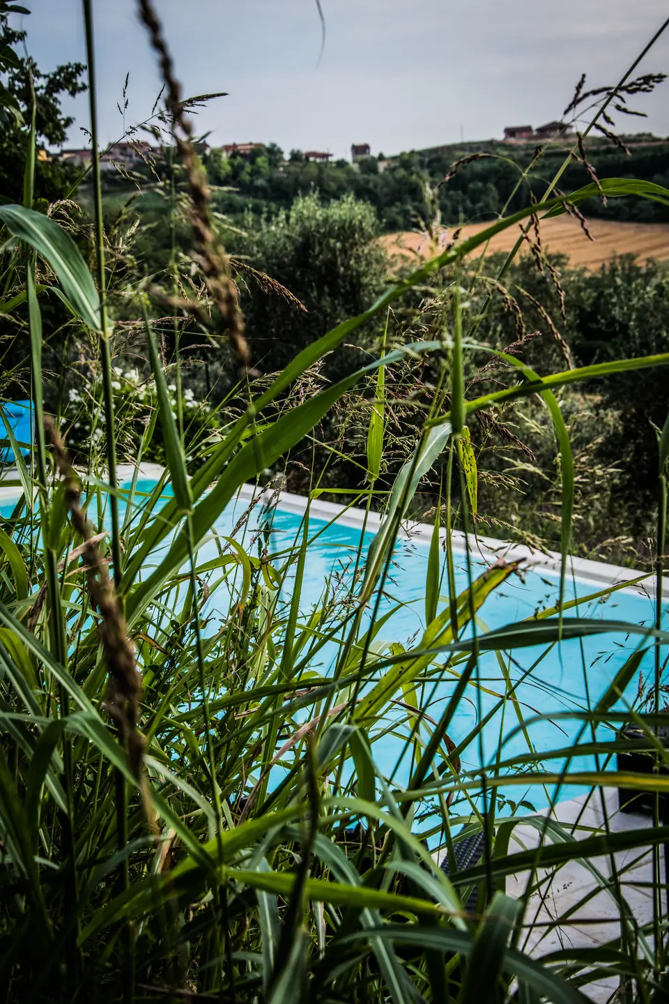 Dettaglio di un momento condiviso all'aperto