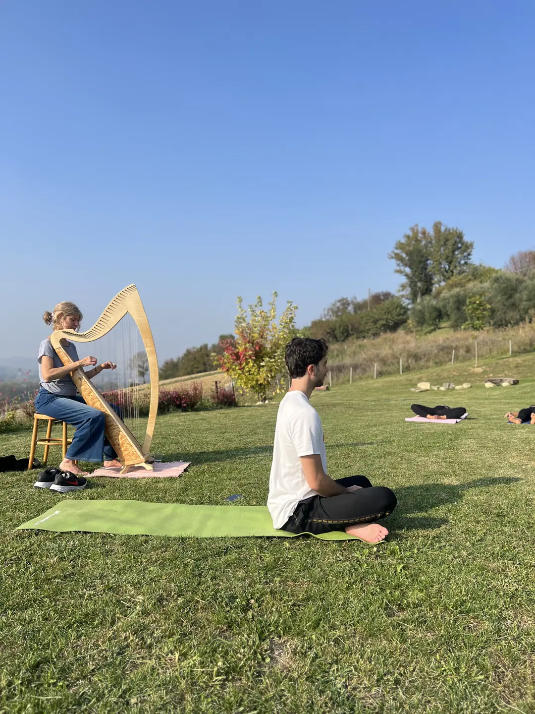 Musicista con arpa in un prato durante un'esperienza MonFarm
