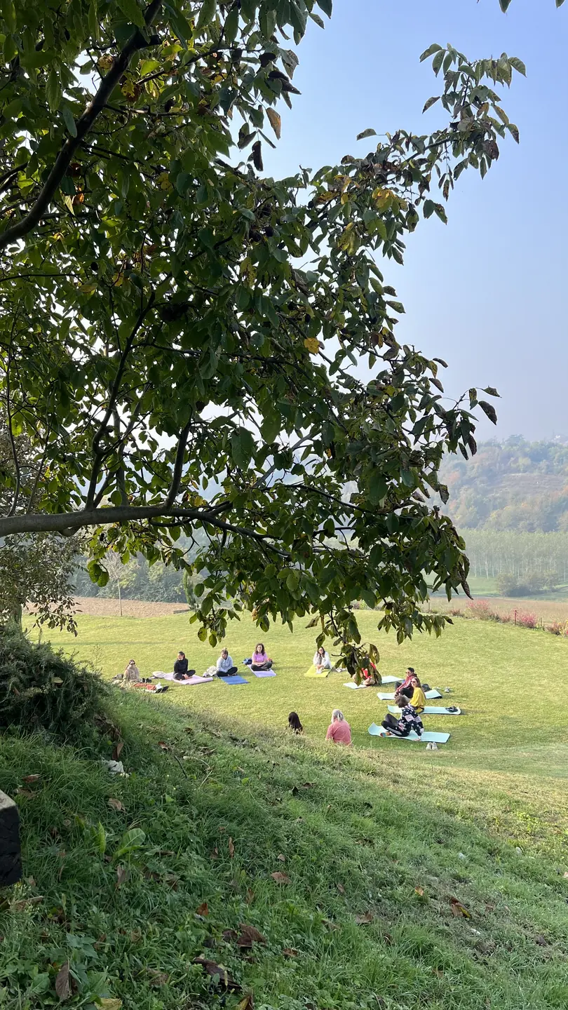 Persona in meditazione sull'erba